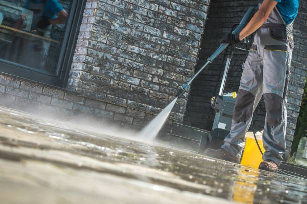 Best Warehouse Cleaning  in Tremont, IL